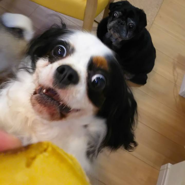 0070b9ff d5da 477a b33e c81b8fa162cf 1556619897894