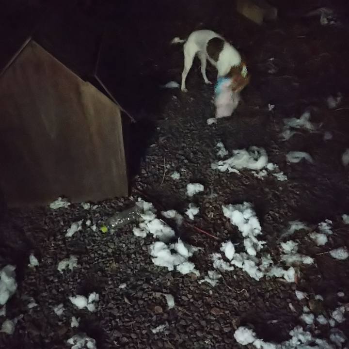 0070da39 2e2a 439a ae2e 726a0331c0e4 1576227936251