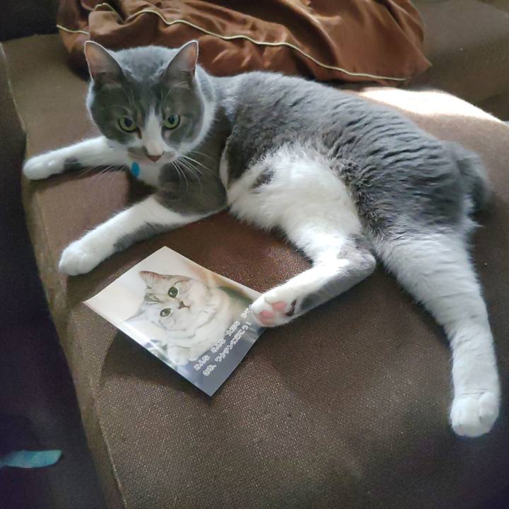 0070debd f793 4d88 9275 80646c9bd599 1655681578669