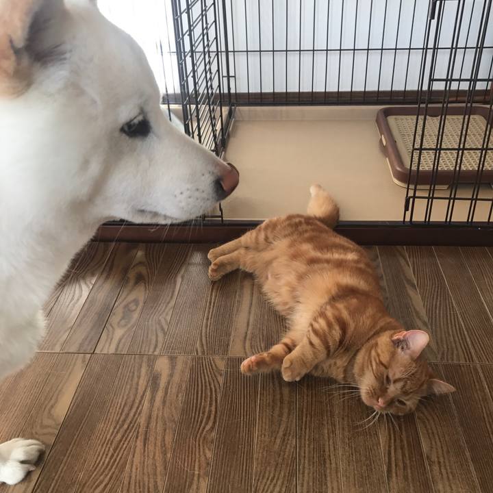 0070df9f 543e 44a3 bd51 498ecf557ab7 1515717376575