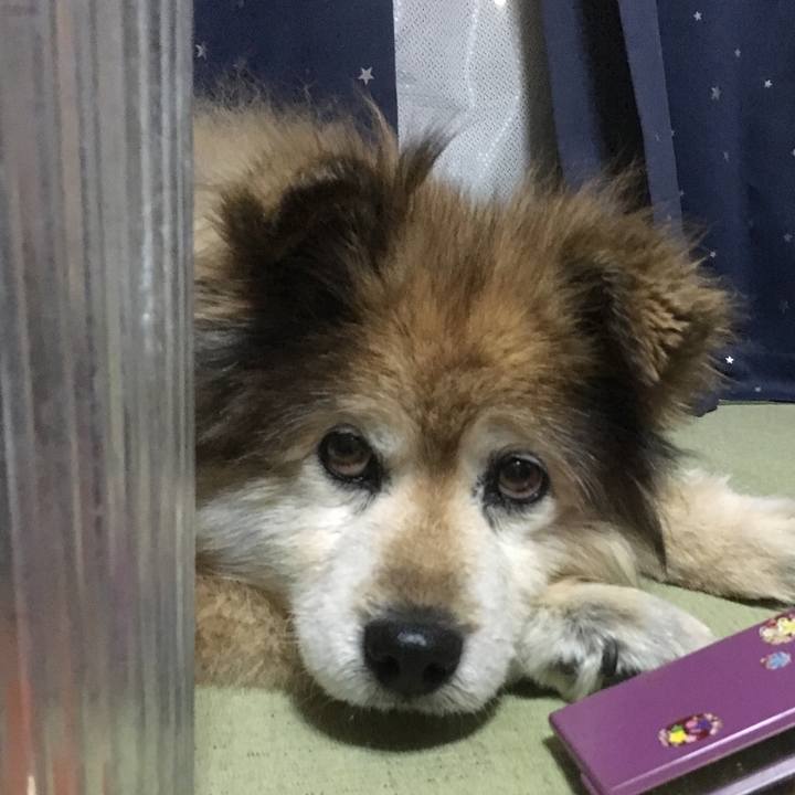 0070e3a6 5160 40d4 a030 3c4c6d9551cf 1611041001035