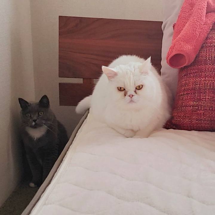 0070ebde 7d95 4531 82fb 91a5802ccaf8 1704499292496