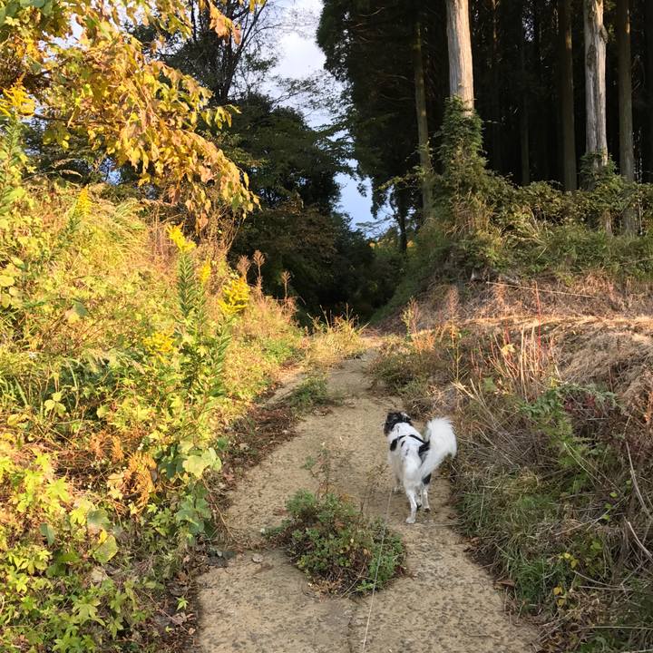 00710992 0ab5 483d 8550 7eca03961356 1540819256496