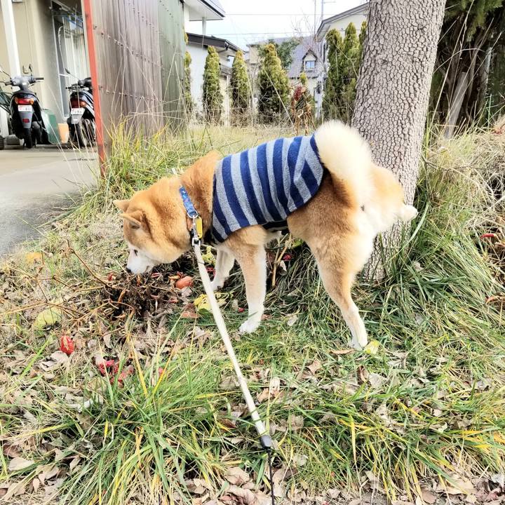 007110f6 1a43 492b b0d2 8cdf4ea52057 1576731764913