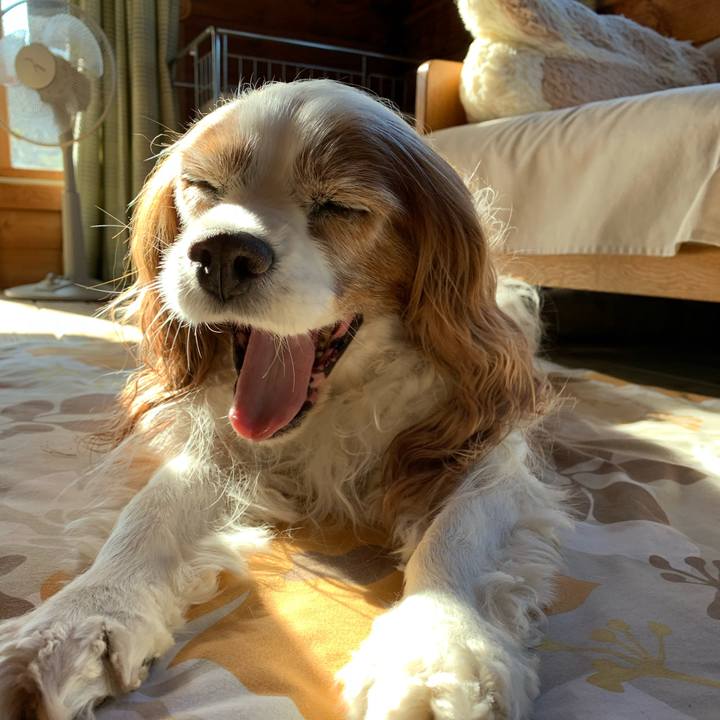 00711490 167e 4967 9f41 e7aded0289d9 1592691362058