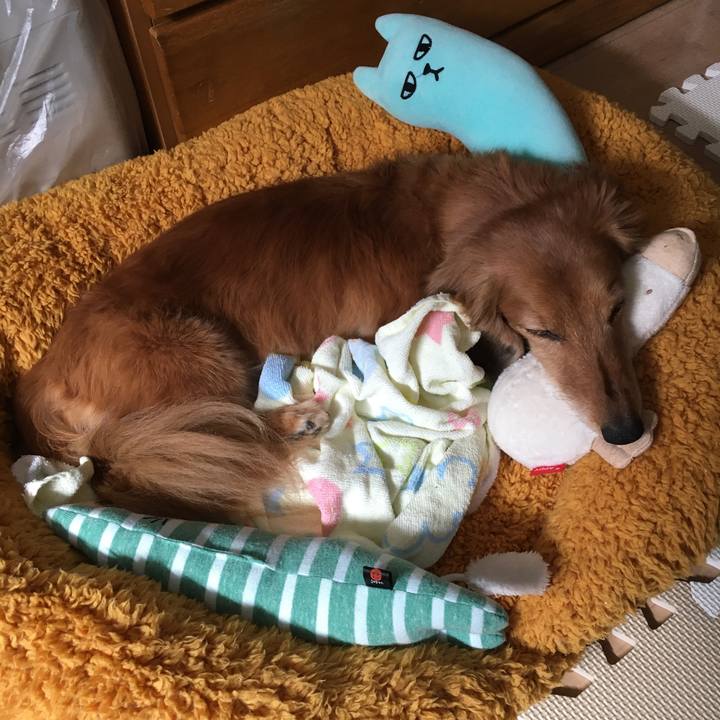 00711ed3 fcc6 4a1a afc2 31c43369f4db 1620306079261