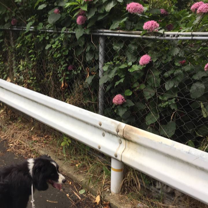 00712833 7927 4395 b908 1771ec29db56 1561856095597