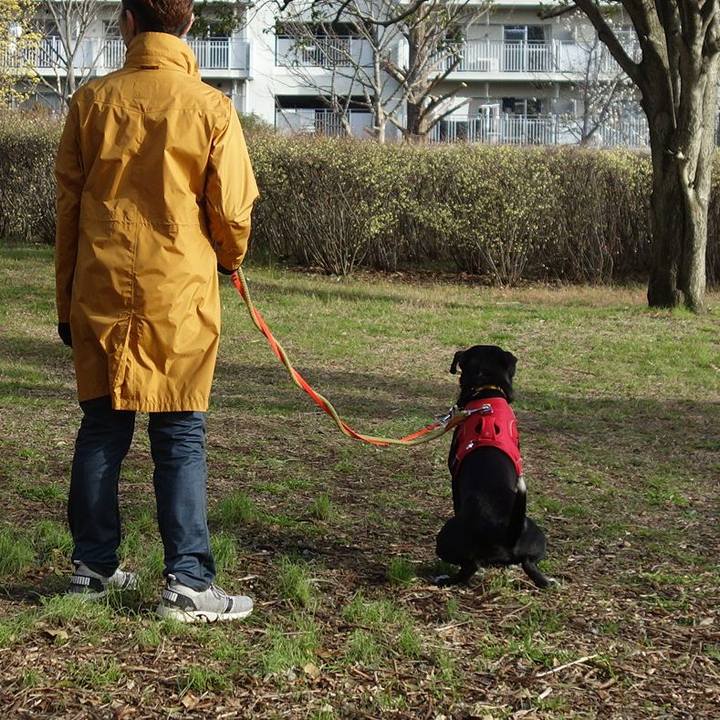 007139cd 2032 47cb a6ac 99ef99e60c31 1584404447183