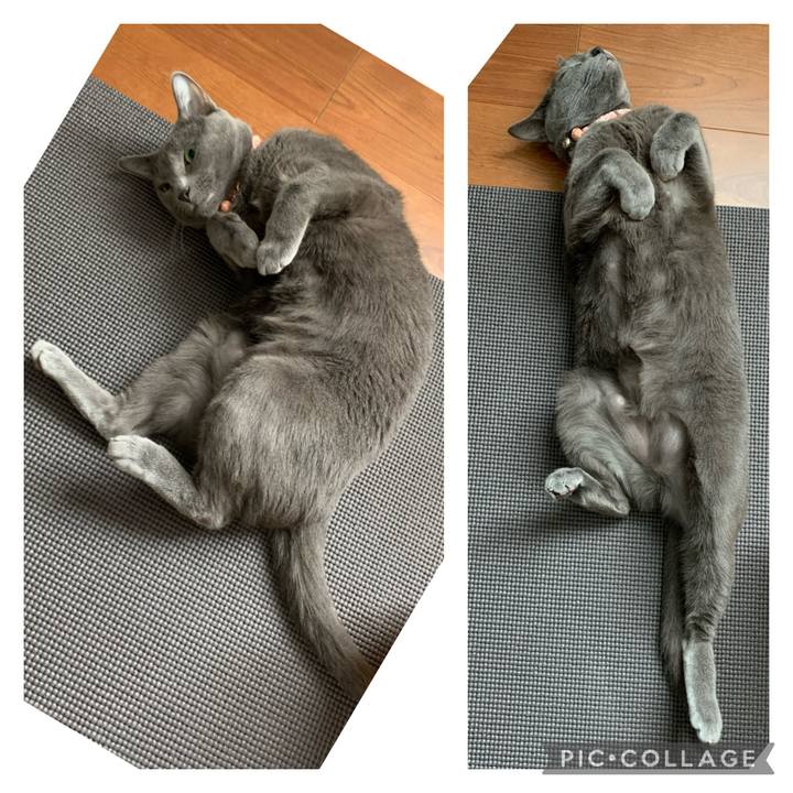 0071564e f0f5 462e afe3 91a318e106d6 1619249433298