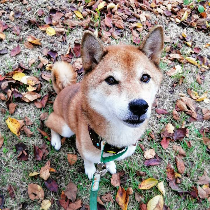 007160aa 95f0 475b ae38 e4cb6c3d8700 1631605693975