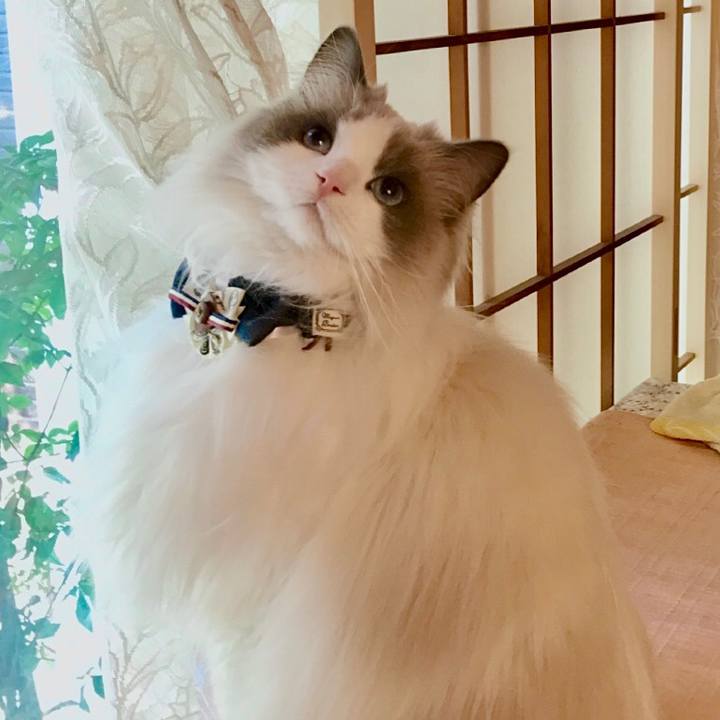 0071651f ae38 436d bbba fa9ff17a426f 1617096627663