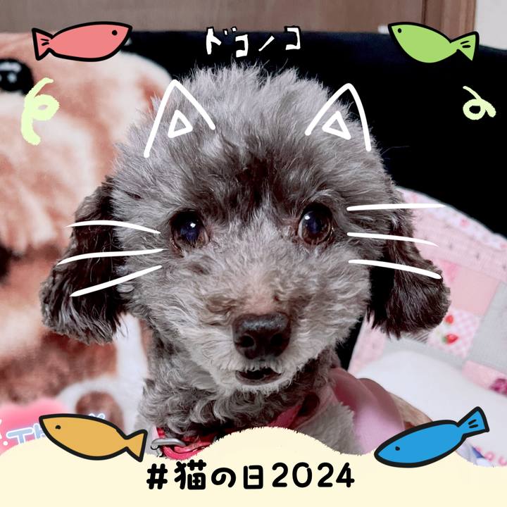 00716d2d 0eb0 434b 9a61 be5afa852b97 1708555732660