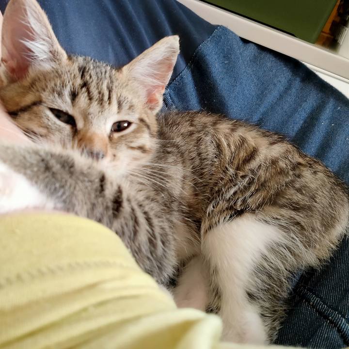 00717dbd 90bc 4fec af0a 2700d3289bdd 1625022749981