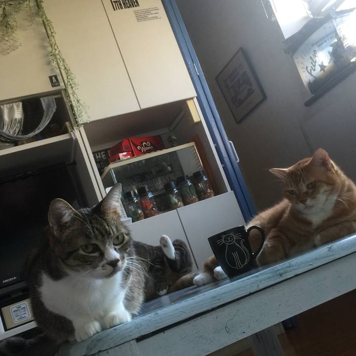 0071869e 3491 4dd4 a905 10d2bef0121a 1572560956264