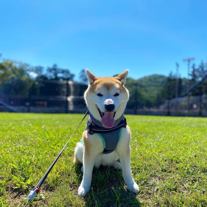 007189e1 33bc 4f06 95f8 bd6817172ae7 1657288887732