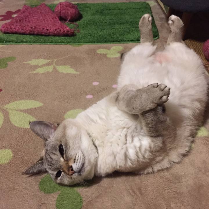 00720dd2 da97 4fa3 843b 3904ef791c41 1544431275332