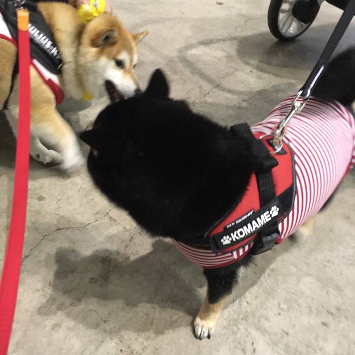 00721a60 fd54 42a8 8950 6d192b5c5252 1556871015208