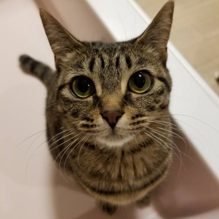 00727182 2e0c 4a40 b3e1 322c2dfbae54 1589479496189