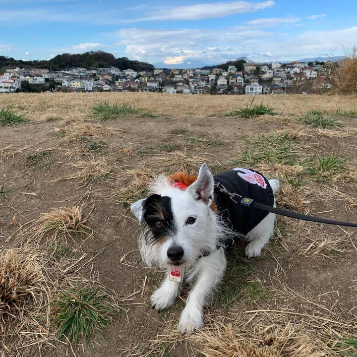 00729ad0 bb9c 4a83 a641 1a13f099bf74 1704332251366