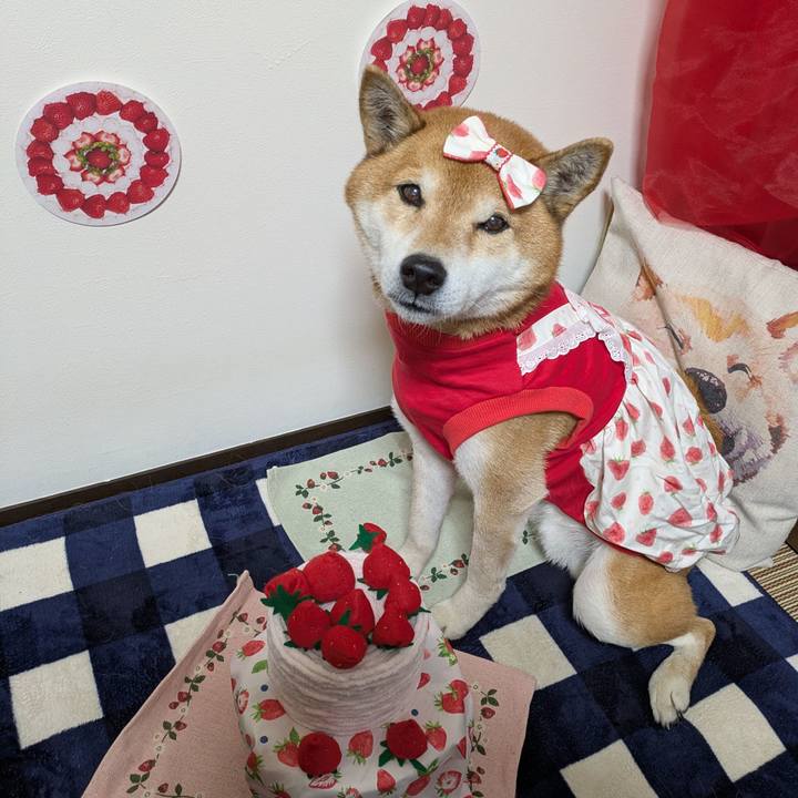 0072aca4 9f48 48a8 bbf2 aa5e6a9bf2e2 1737214665499