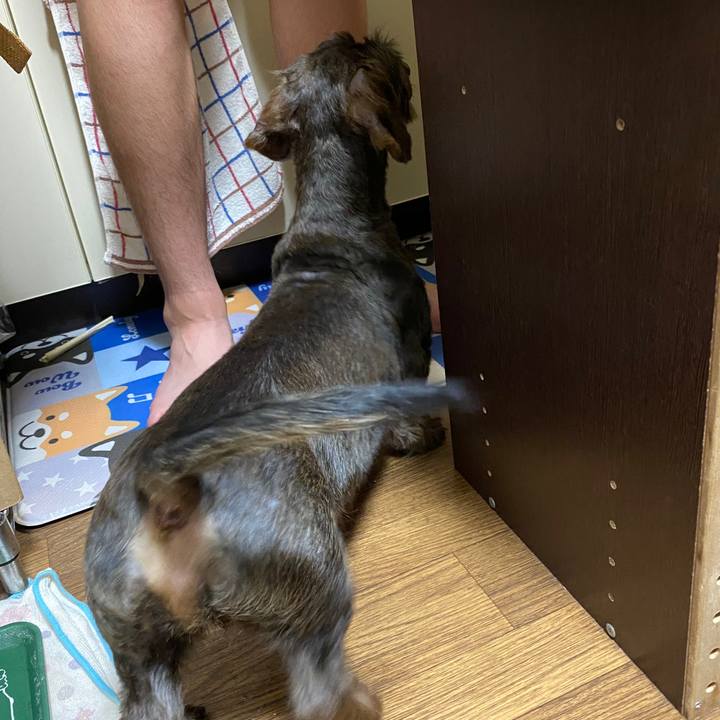 00730bcd 453d 4a65 add4 0947721422c4 1591021043013