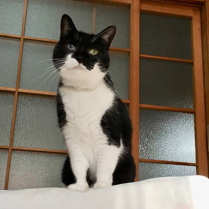 00732396 b5d9 4e0c 9b03 e66c848912ec 1515065138082