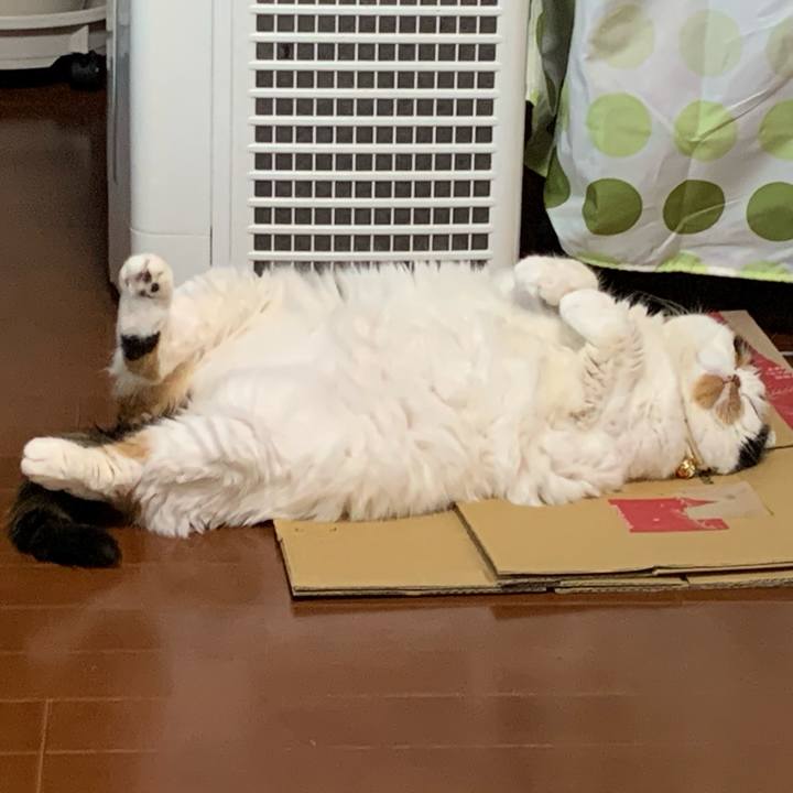 0073687e 47ba 4a6f afb3 265e823c4a82 1577626693495