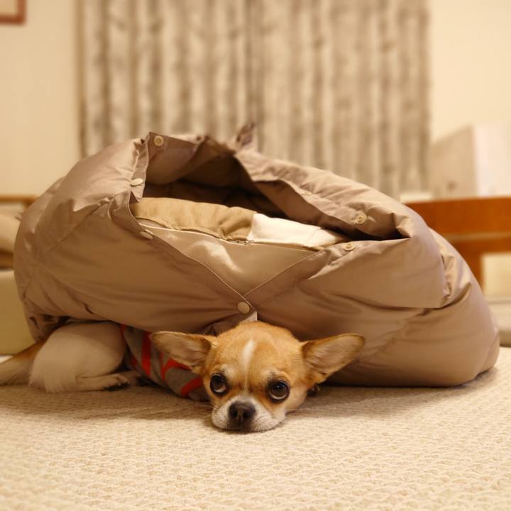 00738ee4 cc81 4395 b59d 78979583ec9a 1675339765214