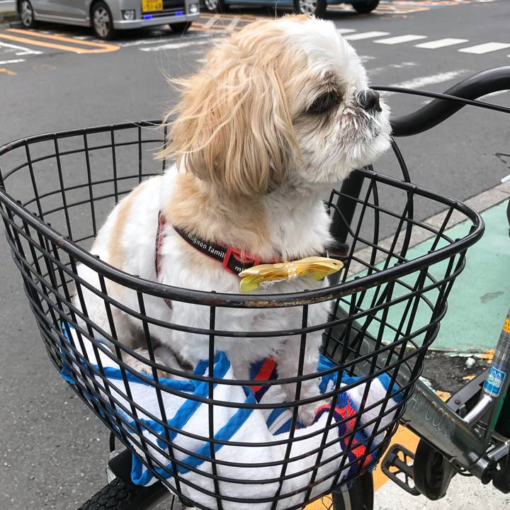 00739637 1eaa 4c1d b00e 080a8dea7d71 1623188593045