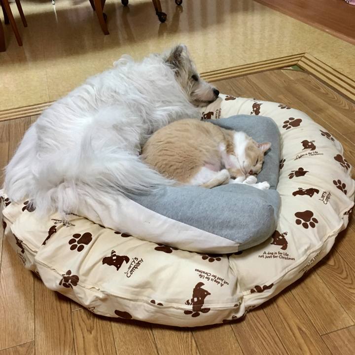 00739d87 29e3 4b15 97d2 901643cdfb6f 1569849805912