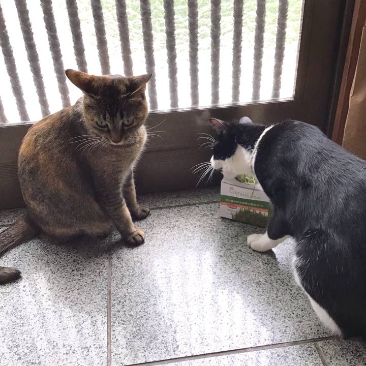 0073a55a 9a24 4397 89cd f39451411be7 1654056618563