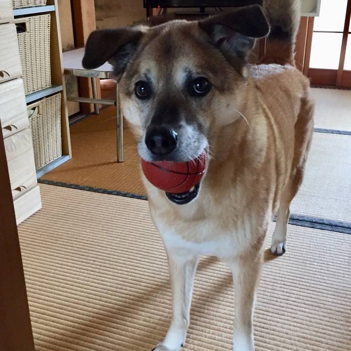 0073add5 7367 4fef b388 7523872423fa 1553727036732