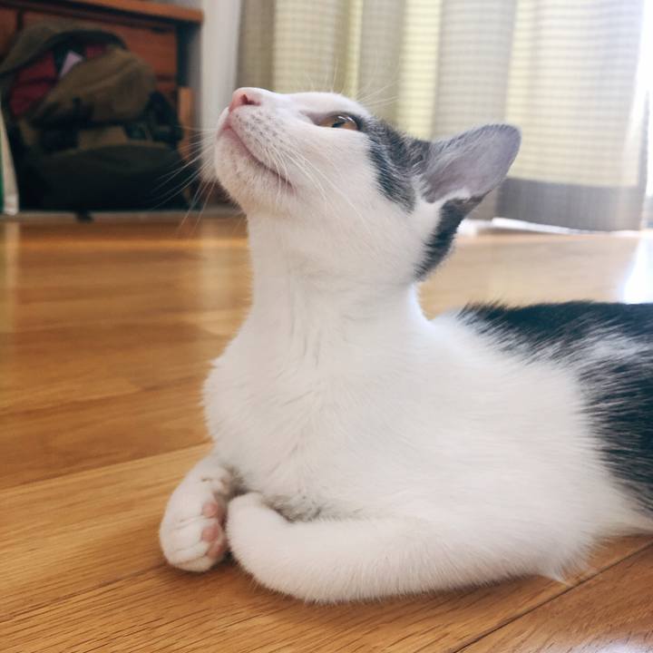 0073d9fe 6706 4179 84f0 50ad6086ad0a 1570146281280