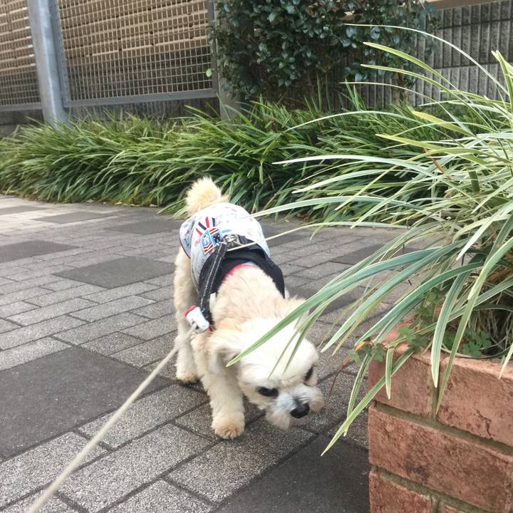 0073e4df 9d16 4291 93c8 61c988e332e4 1542802299885