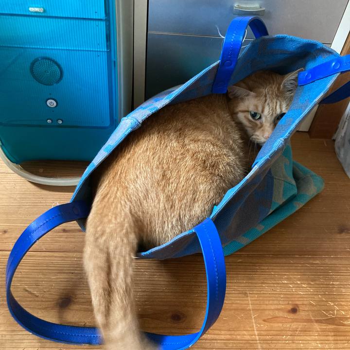 0073ffac 5c3d 4bfd a0d3 261c0ce465be 1728084846926