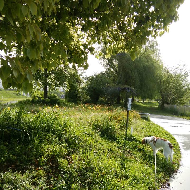 00740f86 0a17 469b b598 fa1a946472d6 1523838075481