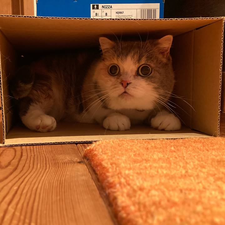 00741051 553d 4865 89c7 494d6f200ea6 1667810338418