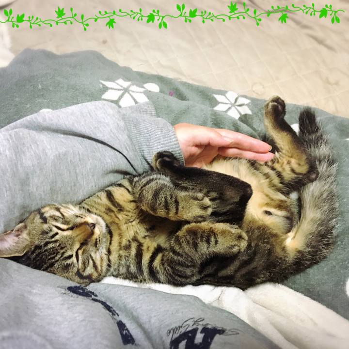 00742b4c 5fc9 4bd3 833e 31c292059427 1541721659879