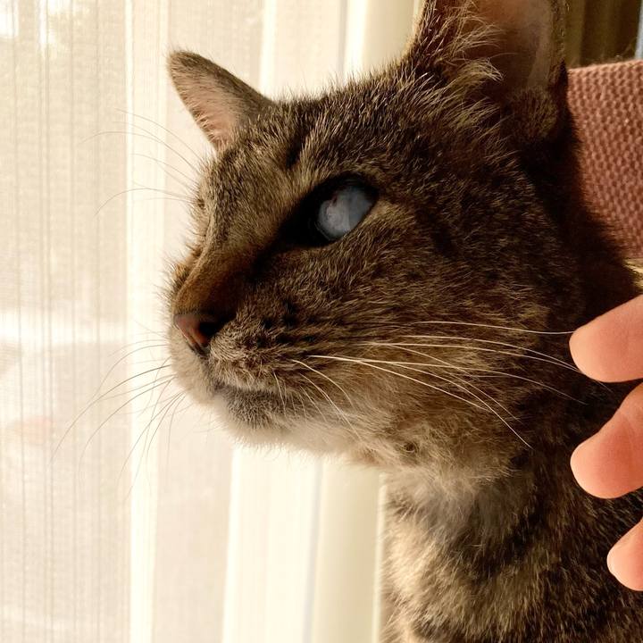 00747699 6bed 4380 bdaa 1b9842b6d0a6 1675849982365