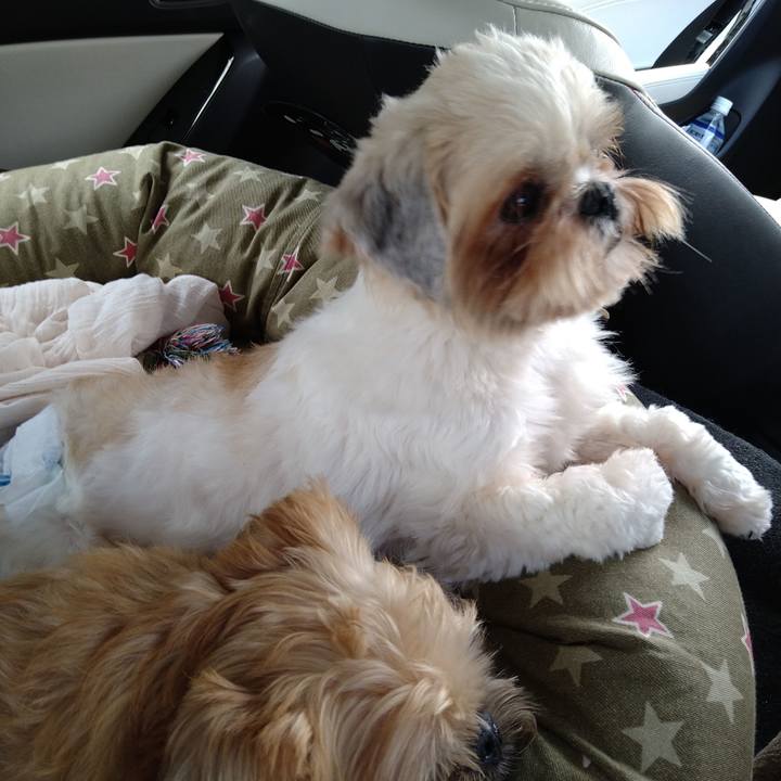 00747c84 00d7 473f 9246 4a1872e23dcd 1599350227787