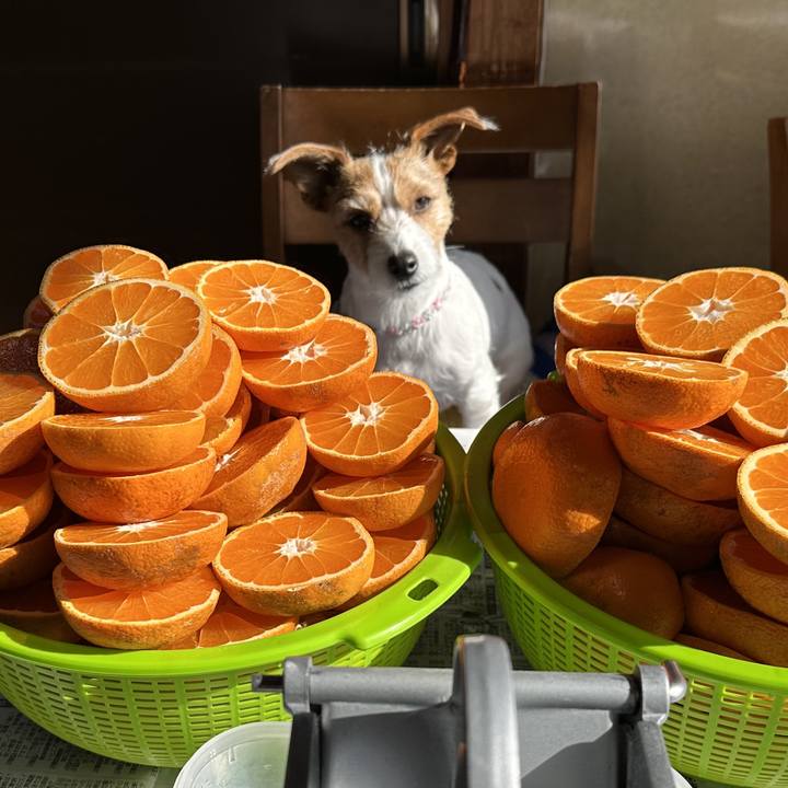 0074a284 2e41 41af b8b1 cd67f3985ee8 1768713475653