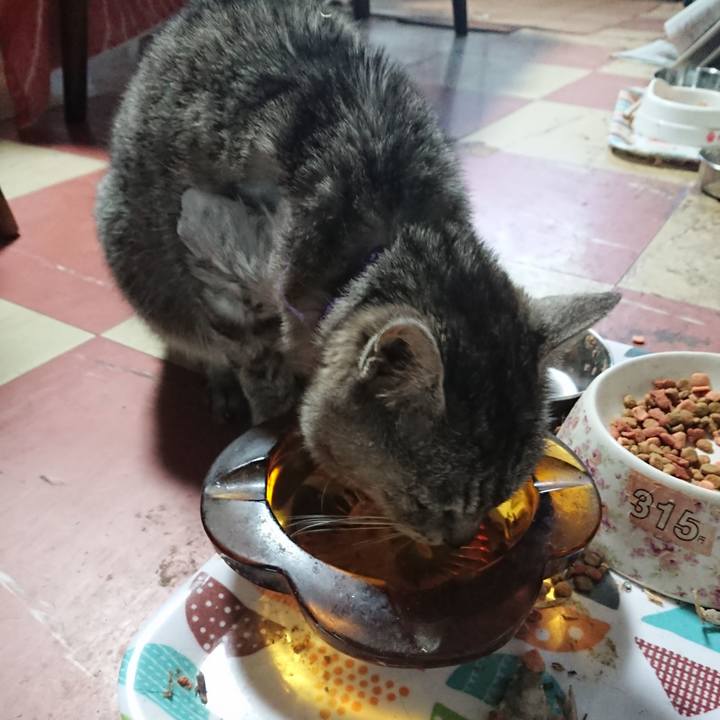 0074a4b9 e465 4101 8dd2 00c3f7897bb9 1590818486306