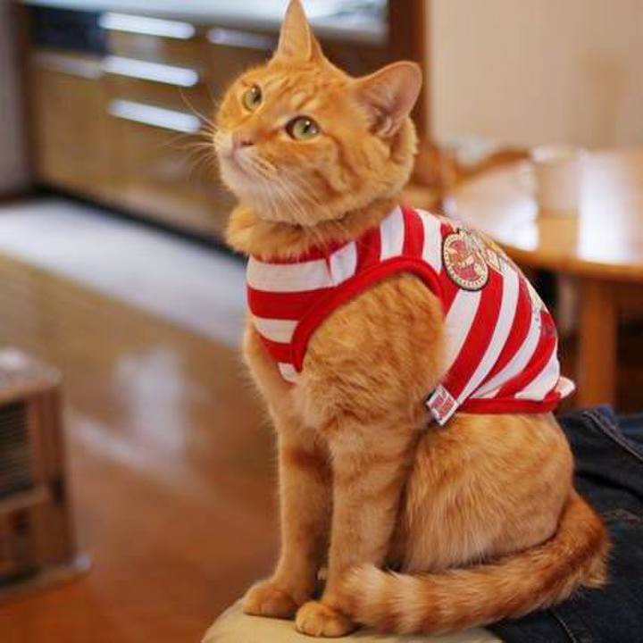 0074df21 84fe 4bb4 ac7f 734ccb6201fd 1718976151288