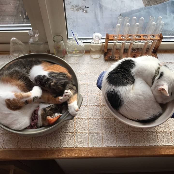 0074e62d abb2 4ac1 be28 93207aa7abe4 1639183640204