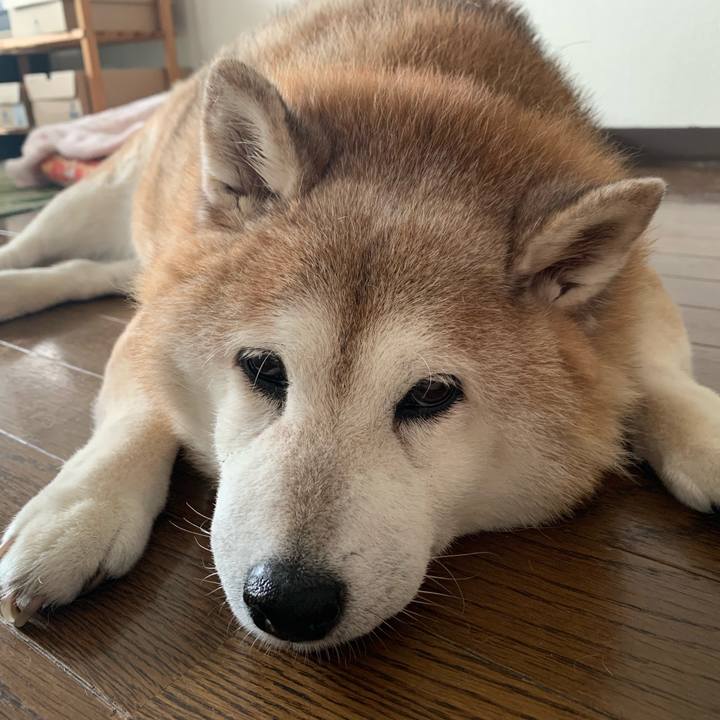 0074e6bc e6d0 4cf0 8d07 753e2973787a 1624793045620