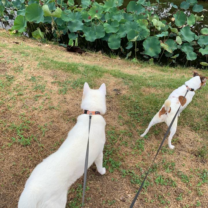 0075040b d118 4de8 88fe aaff7661a883 1564785570698