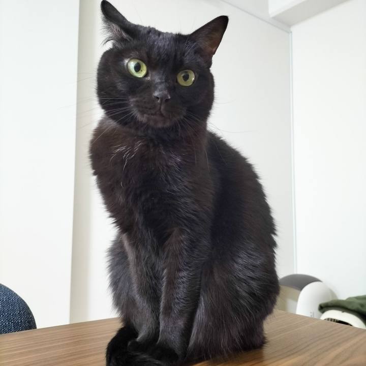 00751d64 4121 4ae9 8938 308371291c16 1701428890196