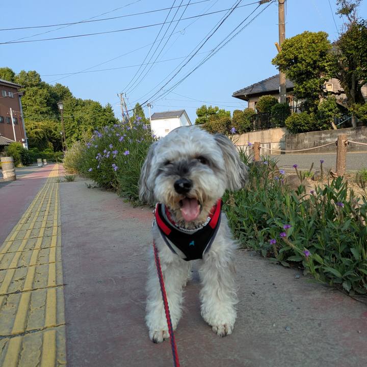 00754a26 cd74 4815 b7e6 541838b0f355 1755305114158