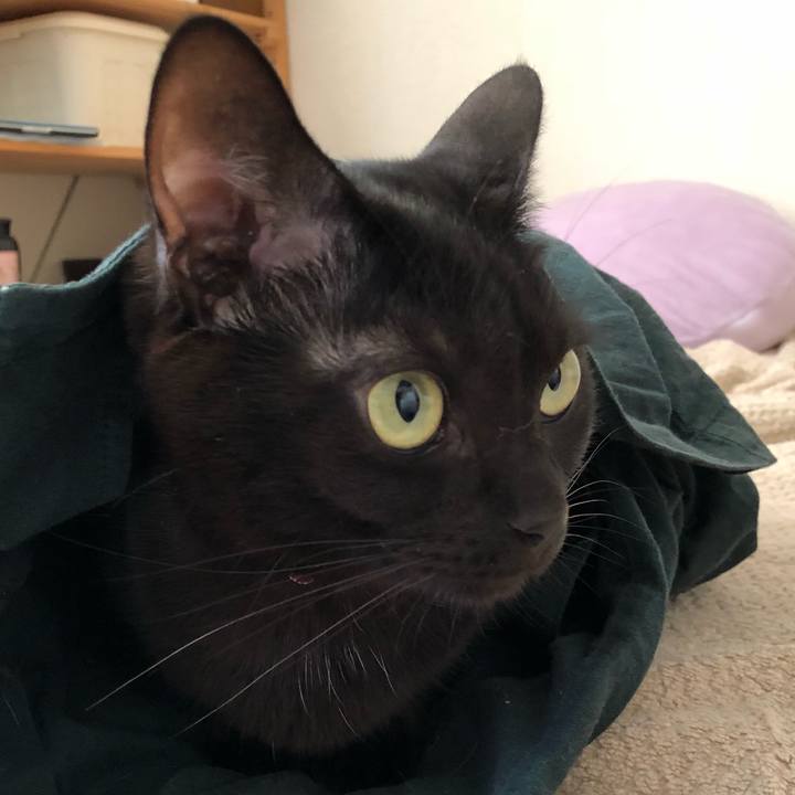 007600c5 64a2 4542 ac0a 35b6a1acb0e3 1522239585283