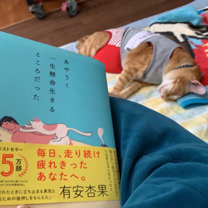 007643b8 6c52 4caf 9e0e 7dbd3e98b0b1 1599445053828